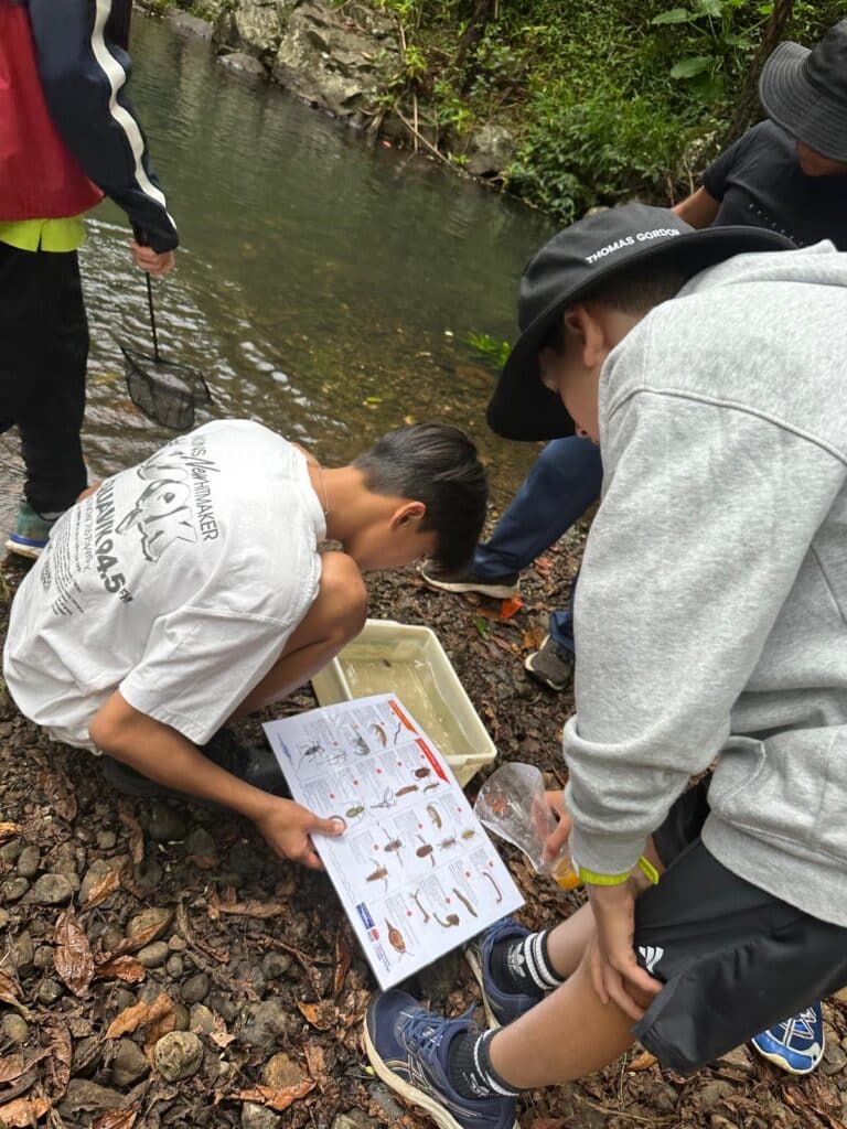 f549b254-3d1b-4498-96ee-3ed51b76fdcf