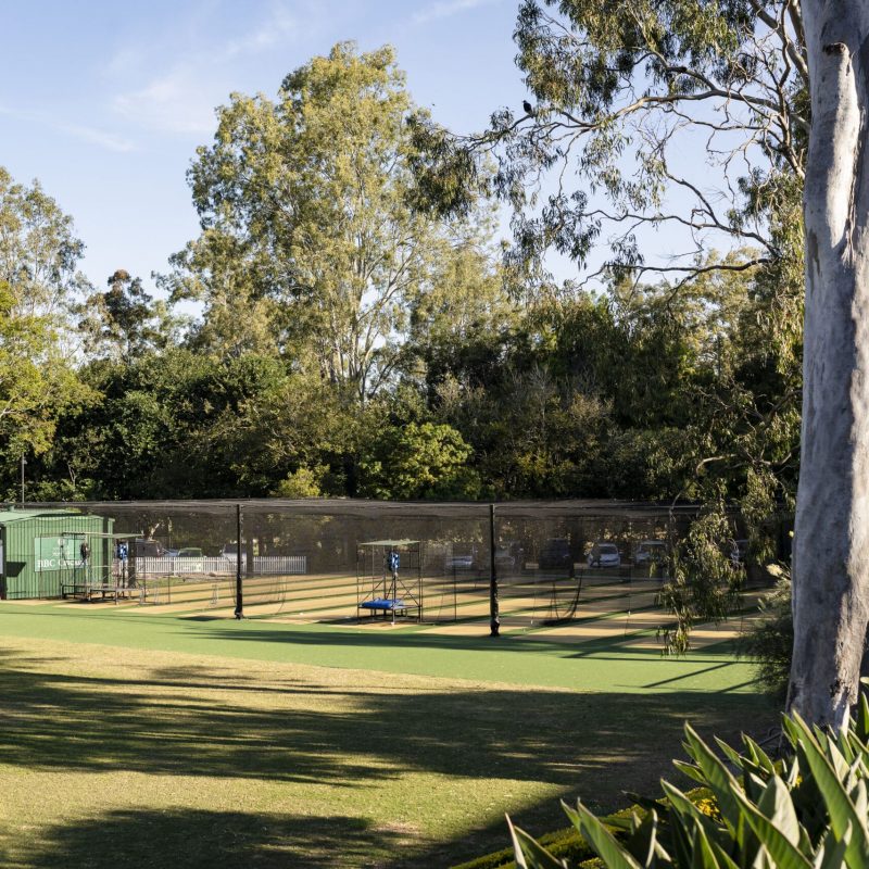 Cricket Nets