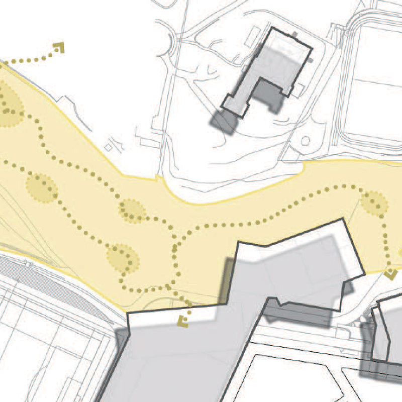 Goldicott Bush Regeneration