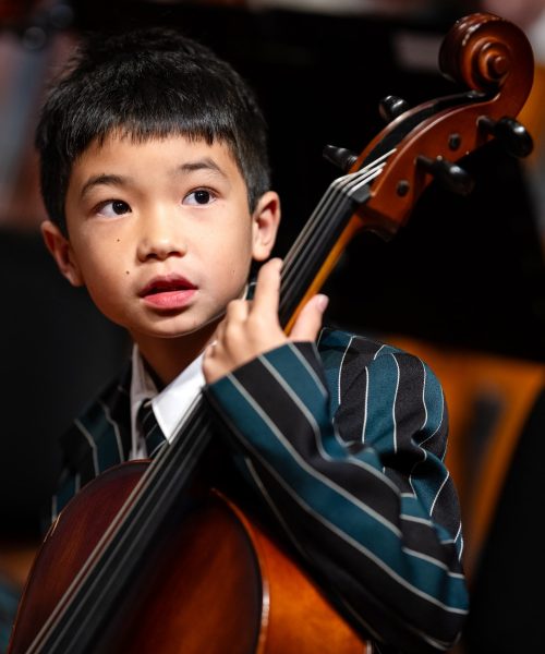 Junior Strings